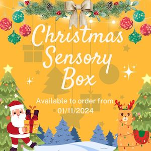 Sensory Boxes - Christmas Sensory Box - Sensory Tree