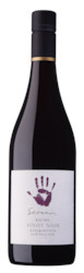 Pinot Noir Rachel <br /> 2023