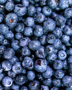 Bulk Blueberries