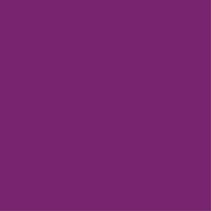 Brother ET869N EMBROIDERY THREAD 869 - ROYAL PURPLE