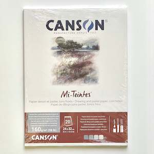 Canson Mi-Teintes Pad 24 x 32cm 160g - 4 COOL tones