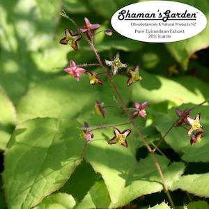 Horny Goat Weed Extract (Epimedium)