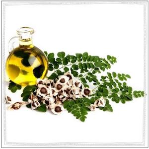 Moringa Oil / Moringa Seed Oil