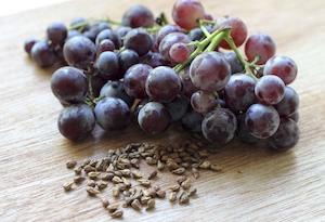 Grape Seed (Vitis vinifera)