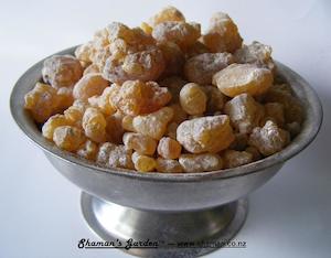 Frankincense Serrata