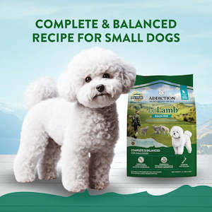 Pet: Addiction Le Lamb Small-Breed Dog Food