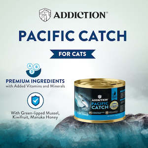 Pacific Catch Ocean Fish & Salmon Canned Cat Food - **Buy 4 get the 5th FREE**