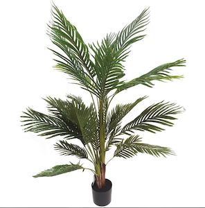 Clothing: Rembrandt Palm Tree