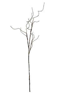 Personal accessories: Faux Plant - Curly Willow Branch