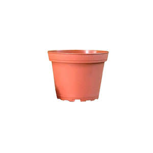 Plant Pot - 10cm