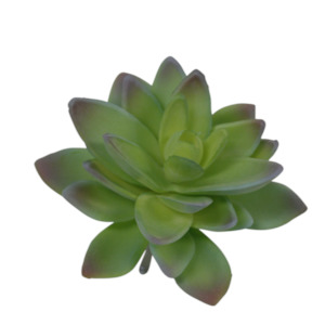 Faux Plant - Lotus Succulents | Green