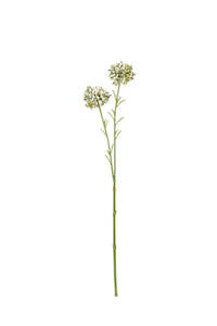 Personal accessories: Faux Plants - Mini Allium