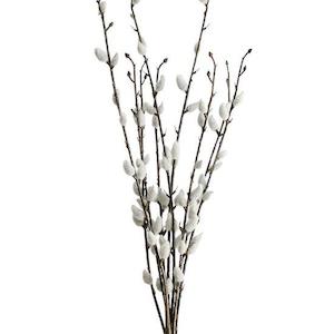 Personal accessories: Faux Plants - Pussy Willow Bundle