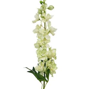 Personal accessories: Faux Plant - Delphinium Spray | Green