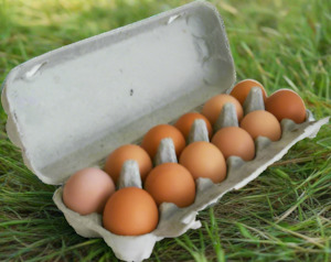 Shevington Farm Mixed Grade Free-Range Eggs - 12 eggs  in Dozen Packs