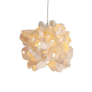 Barnacle Pendant Light - Small