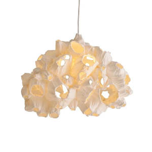 Barnacle Pendant Light - Medium