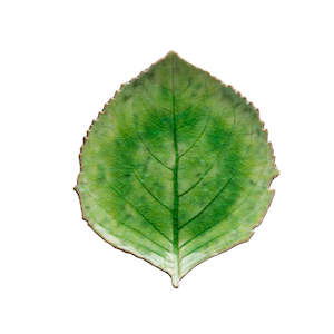 Tableware: Riviera - Leaf Serving Plate