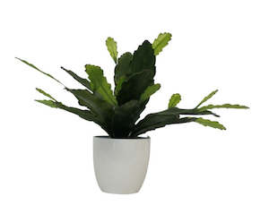 Decorative: Faux Epiphyllum Cactus in Pot