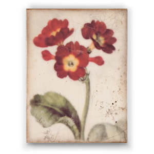 Sid Dickens Memory Block - Faerie Flowers