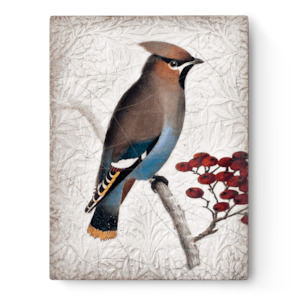 Gift Guide: Sid Dickens Memory Block - Waxwing