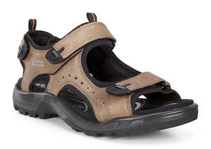 Shoe: ecco off road