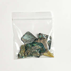 Internet only: Bag of 10 Polished Paua Pieces with Hole for Cord or Wire