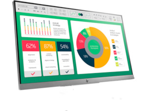 HP - E223: 21.5" HP Monitor