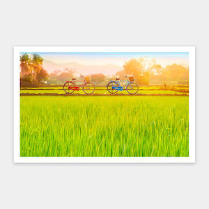 Bicycle Trip Collection - Sun-kissed Green Fields - 1000 Piece Jigsaw Puzzle