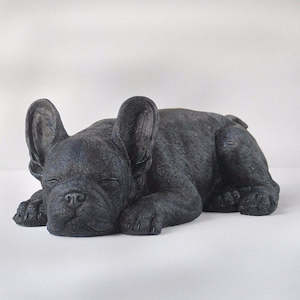 Sleeping Frenchie BLACK