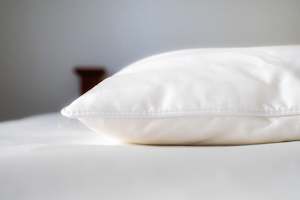 Pillows - 70% Mulberry Silk