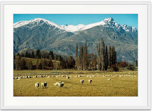 Landscape Photography: Rural Queenstown - SMA072