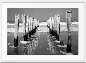 Saint Clair Beach, Dunedin - BWSM022