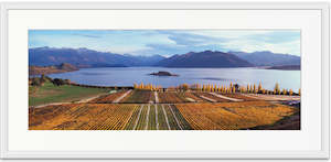 Wanaka Photography: Rippon Vineyard Wanaka - SMP052