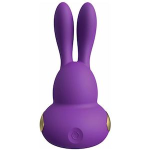 Personal accessories: Kama Sutra Rhythm Chari Vibrator