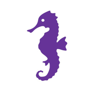 Gift: Seahorse (Craft Blank)