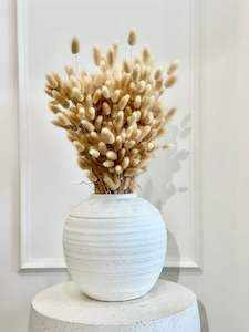 Flower: Bunny Tails in Ceramic Pot