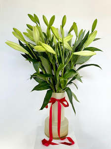 Christmas Lily Vase