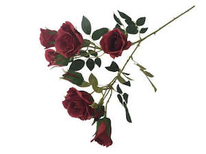 Gift: Red Rose