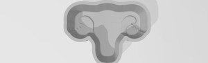 Uterus 1 Piece Mold