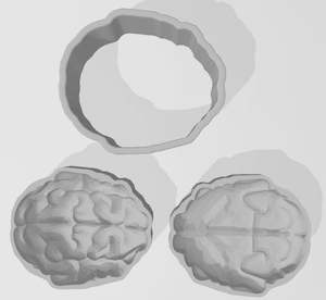 Brain 3 Piece Mold