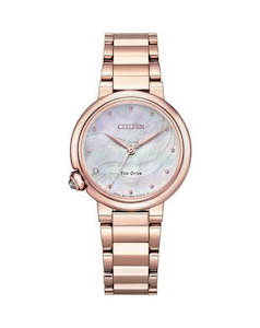 Citizen Eco-Drive Ladies Watch EM0912-84Y