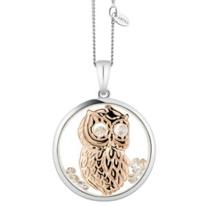 Jewellery: Astra Wise Owl P4699-ROCZ