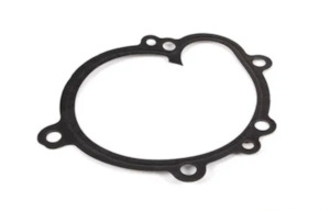 Water Pump Gasket