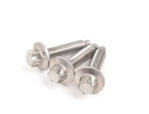 Water Pump Bolt Set