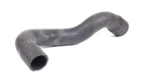 Lower Radiator Hose