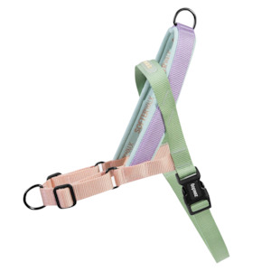 Zee.Dog Softer Walk Dog Harness  |  Peach