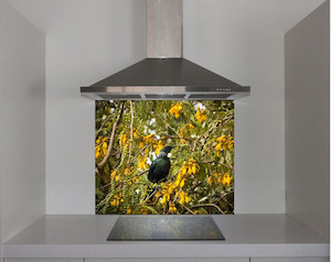 DIY Splashback Honeyeater bird the Tui Smart Art Design