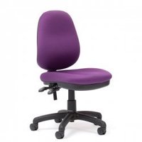 Furniture wholesaling - office: Evo 2 Highback