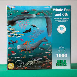 Sustained Fun | Whale Poo and CO2